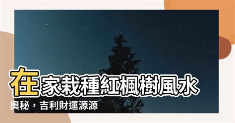 楓樹 風水|紅楓樹風水：旺宅秘訣